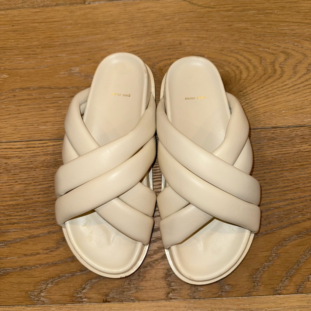 Anine Bing Emi Slides